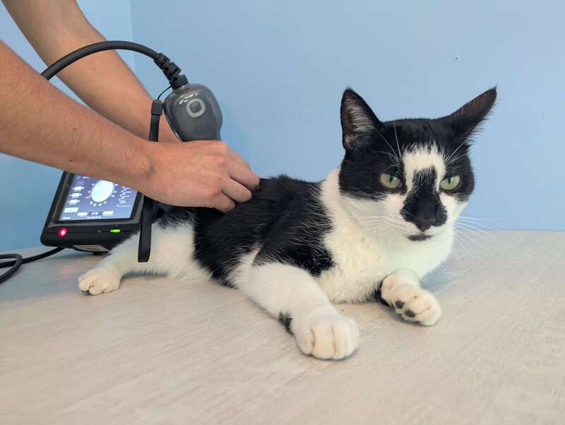 pxl_20250706_16415860120251103-3925553-y2vele