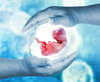 Foetus