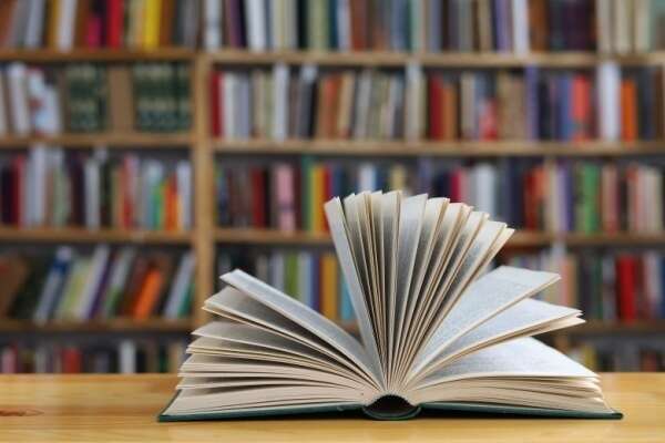 Indice de la production dans l’édition - Année 2025