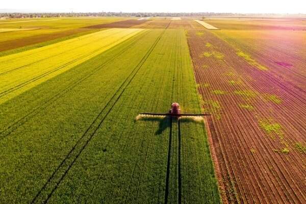 Perte de récolte des agriculteurs : des mesures de soutien annoncées