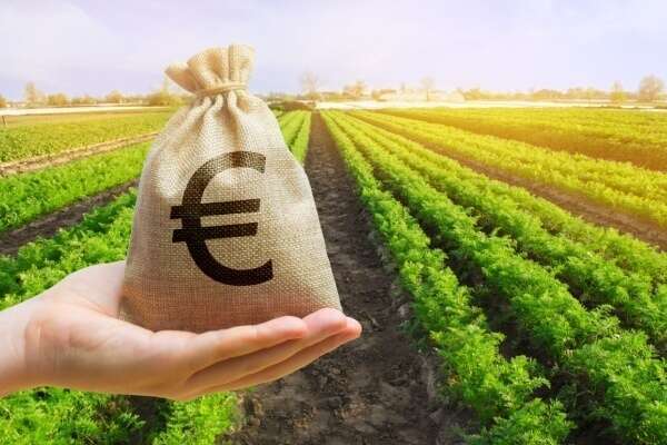 Agriculture : précisions sur les aides écorégime