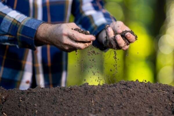 Produits fertilisants : une définition commune des usages