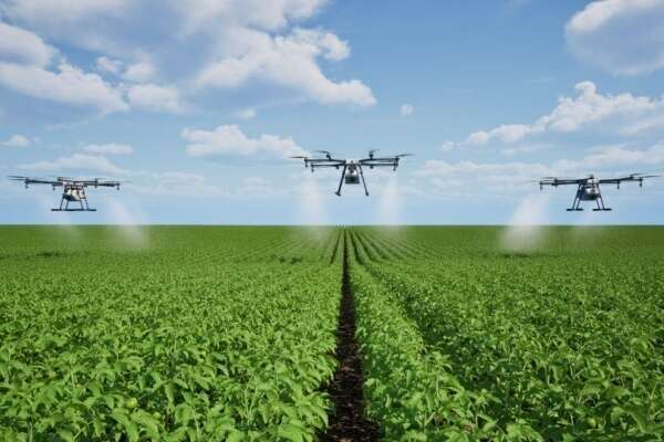 Produits phytosanitaires : détails sur la pulvérisation par drone