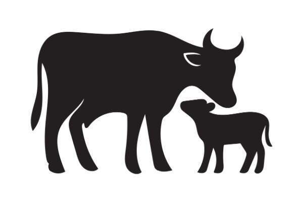 Secteur agricole : le point sur les aides en juin 2026