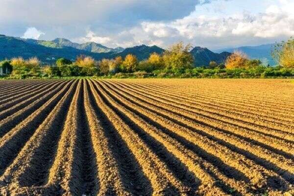 Valeur vénale moyenne des terres labourables et des prairies naturelles en 2025 pour les terres agricoles d'au moins 70 ares, libres à la vente