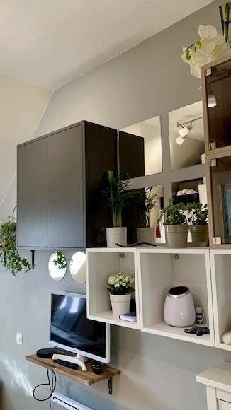 image_24-07-2023_a_11-08