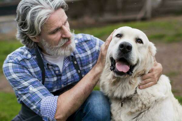 Traitements et prévention de l'arthrose chez le chien