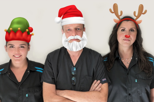 L'equipe du docteur zahra accompagne vos animaux meme pendant les fetes de noel 