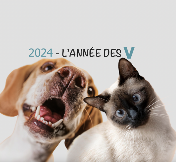 Nos conseils pour vous aider à choisir le prénom de votre animal de compagnie 