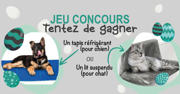 Jeu concours à l'occasion de Pâques pour remercier les fidèles clients de la clinique vétérinaire Fondère située à Marseille