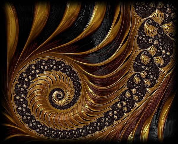 Première : Article 2 - Spécialité Mathématiques