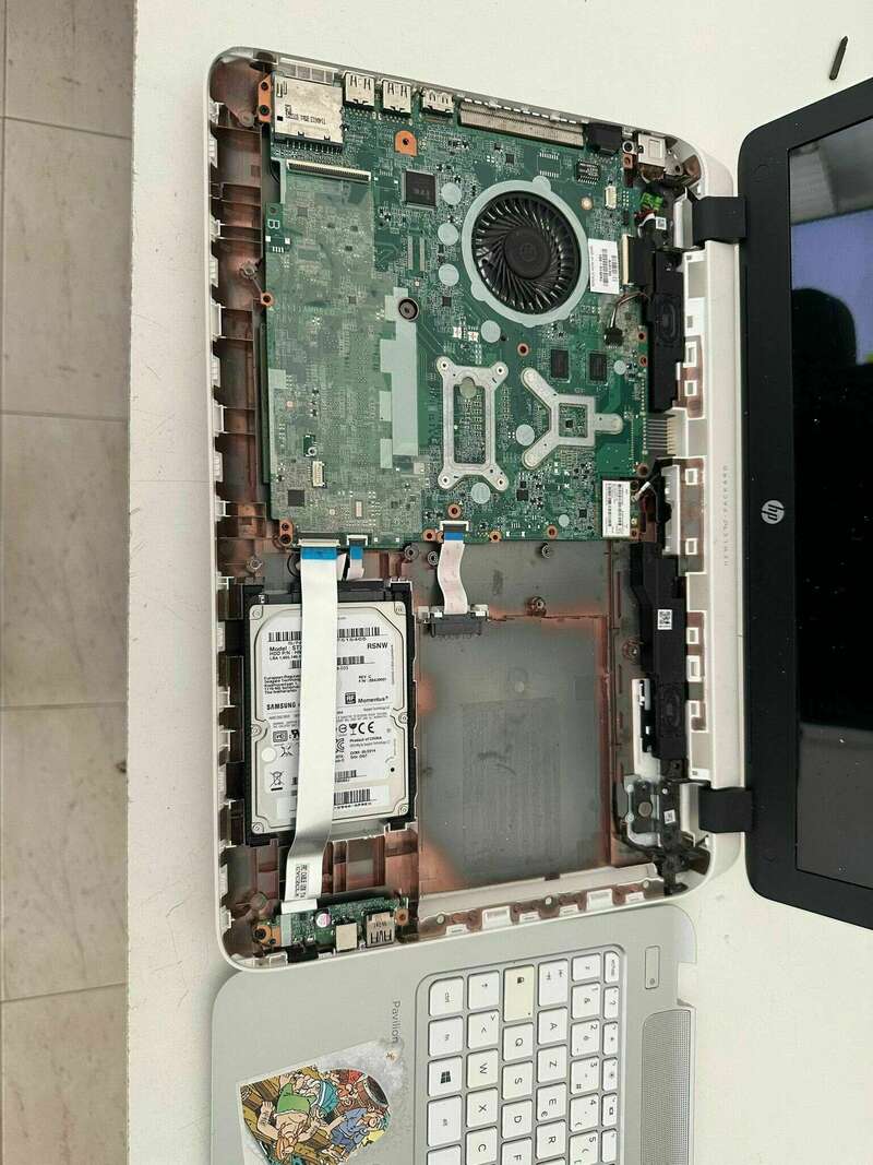 375204424_1461401261369838_3797996945458427688_n