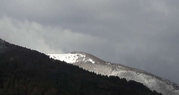 Vie et mouvements : l'étonnante force de la Gestalt