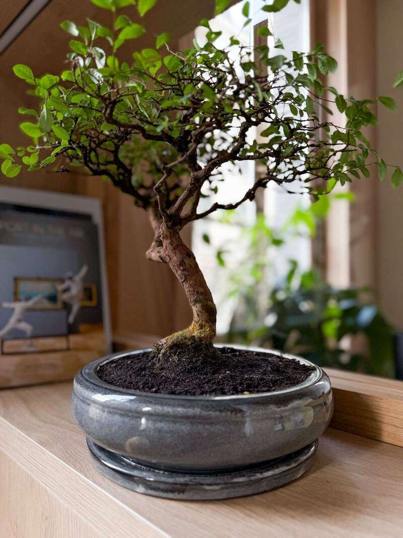 f4a70443-9e68-4a2e-8f4c-04479e11e8e2