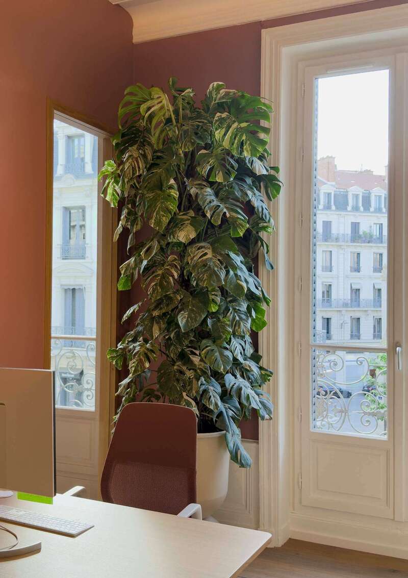 01ef086f-ca1a-47a2-94d5-c2bb7b32a80b