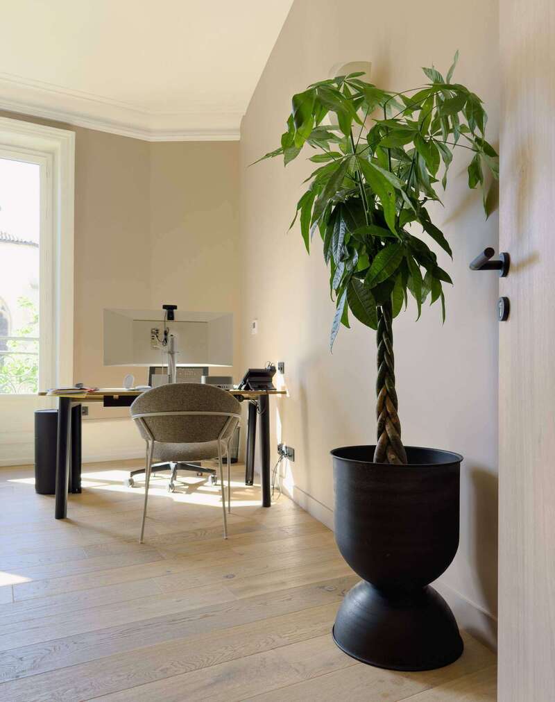 e26e0ce7-aa49-45d4-bfa6-a5d032dea5c3