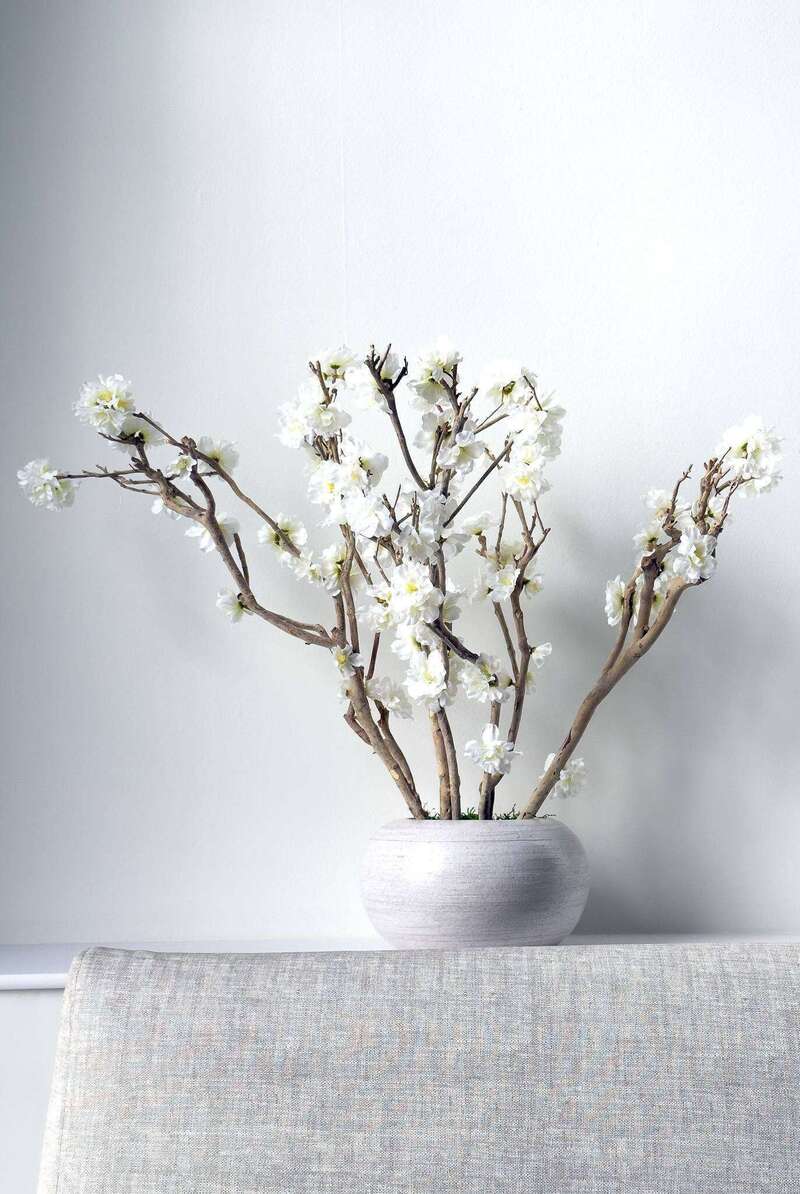 8d18fc44-5def-427d-8194-1fd22072709b