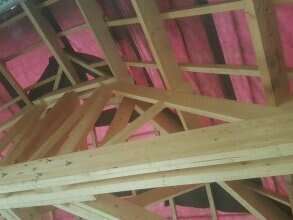 mini_20200522_111706a2099