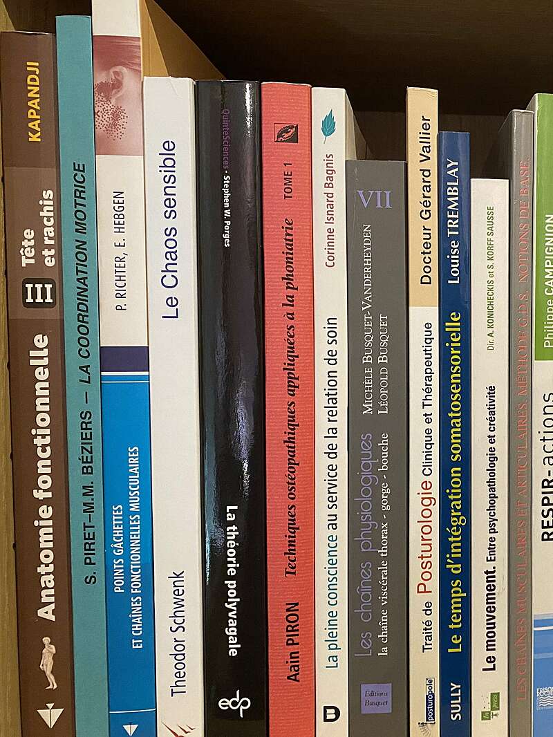 Mon rapport d'ostéopathe avec la pratique artistique