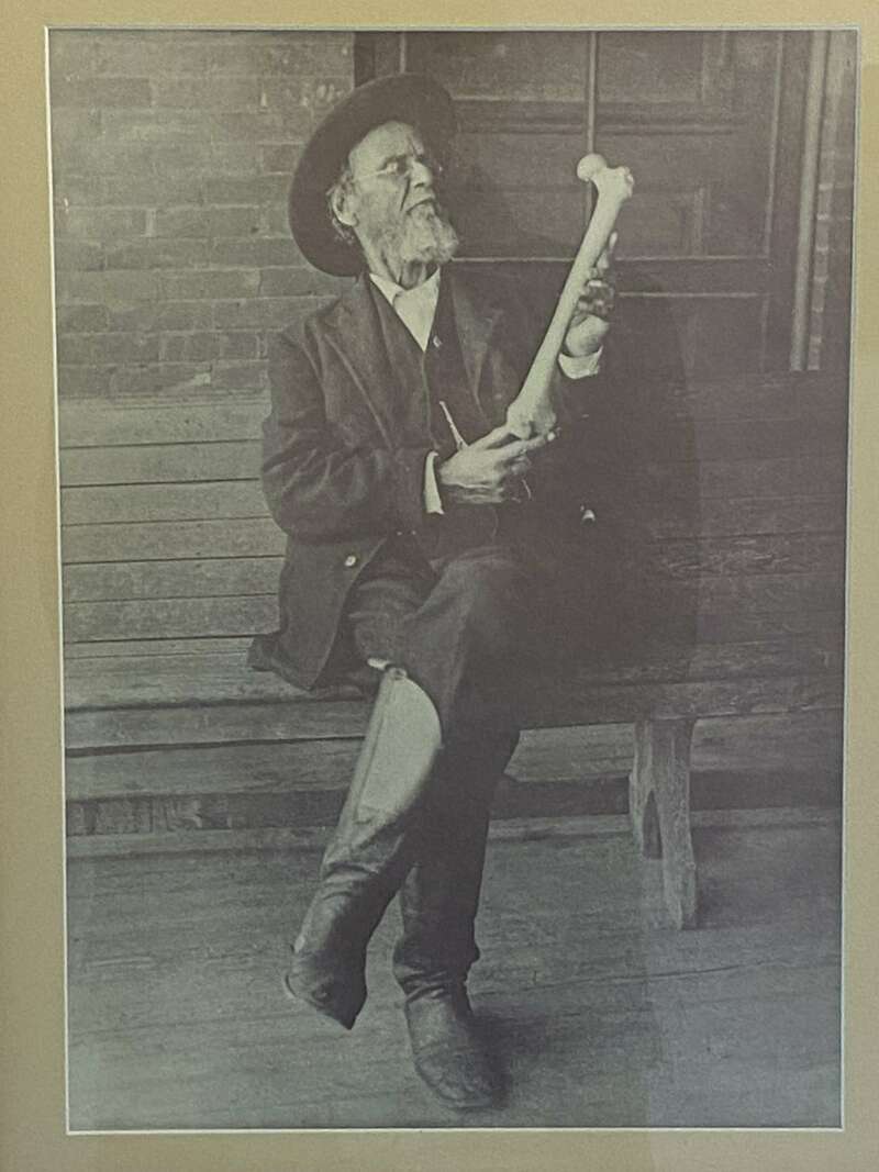 ostéopathie selon l'Organisation Mondiale de la Santé (OMS)