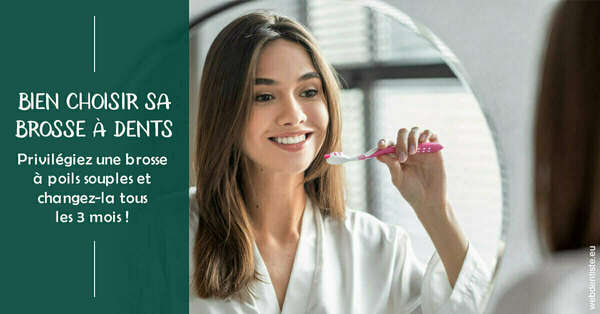 Bien choisir sa brosse