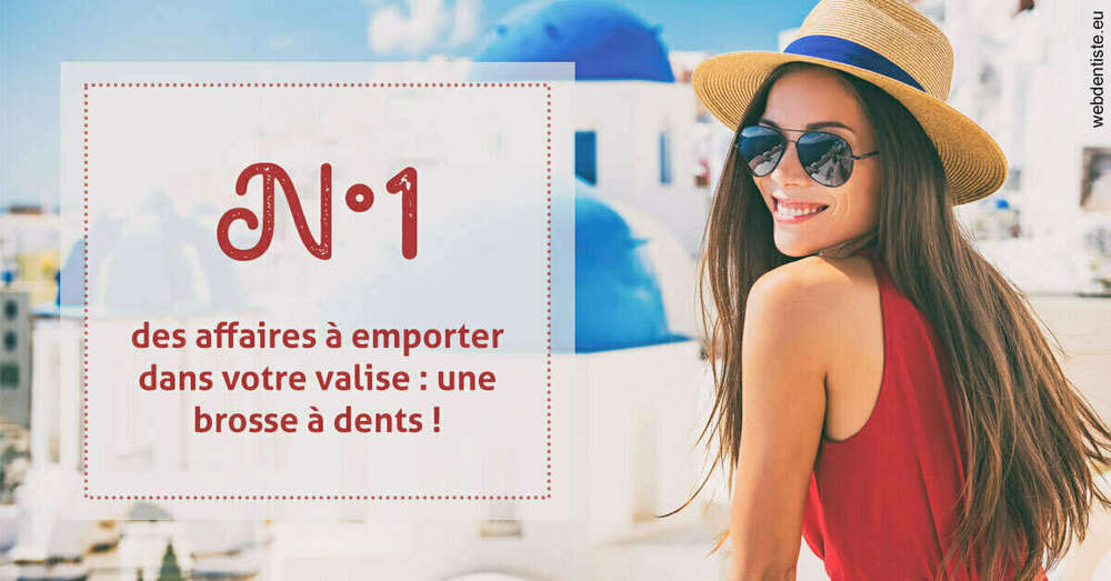 Brosse à dents valise