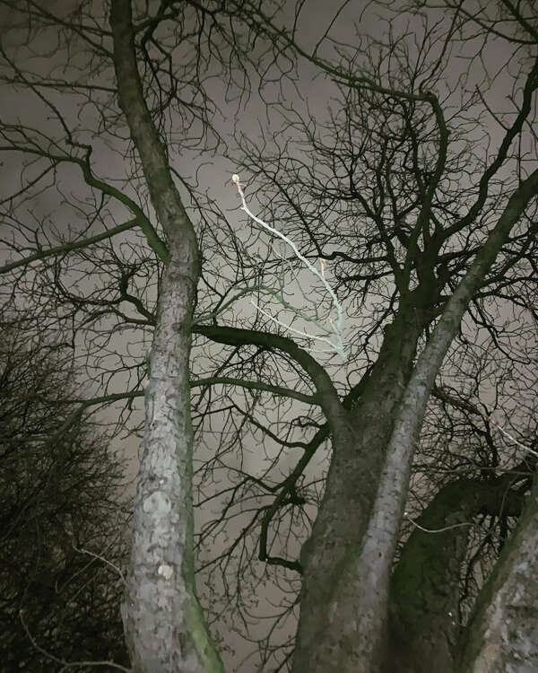 A l'ombre de Soi (poème)