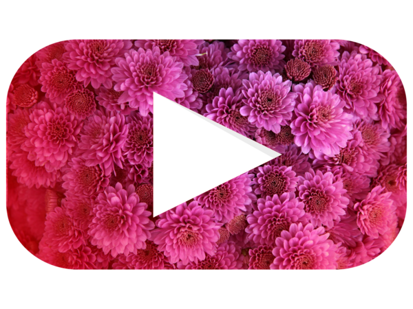 Présentation de ma chaine youtube ! 