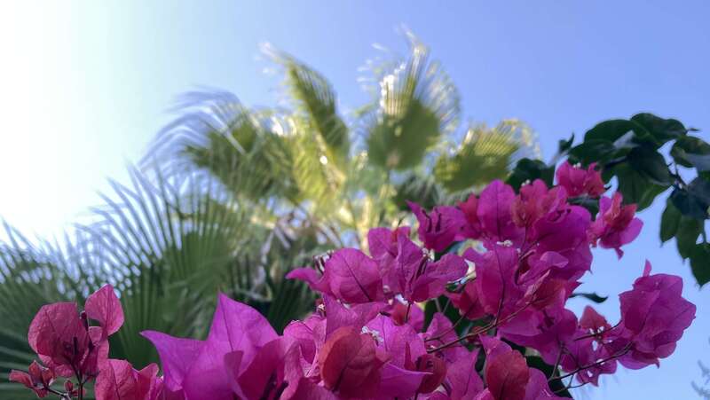 Cycles d’évolution : les chemins de la confiance