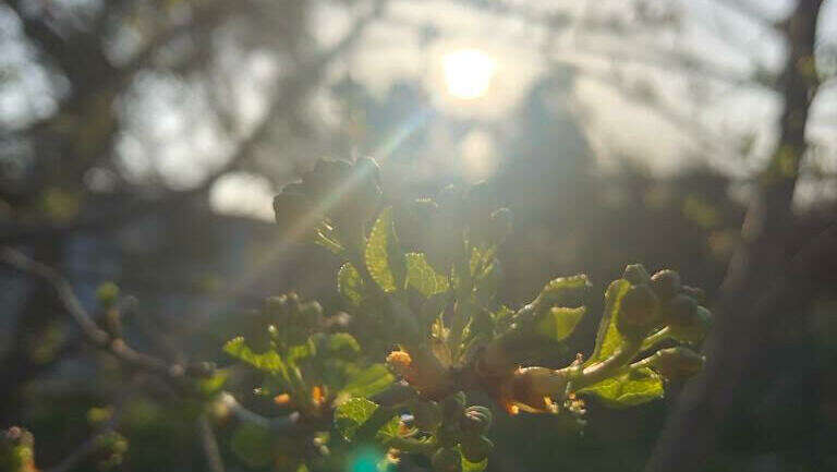 Ateliers Gestalt : présence et mouvement