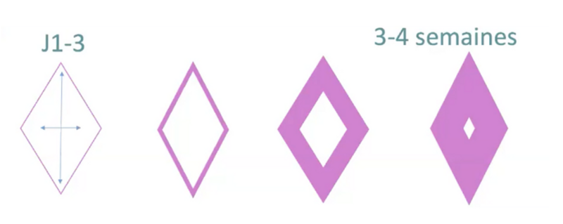 capture_d_ecran_2023-12-08_a_11-47-49