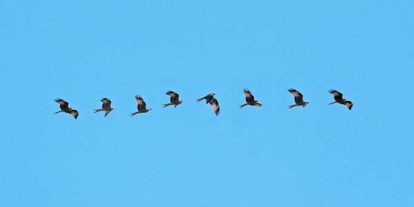 Versements programmés