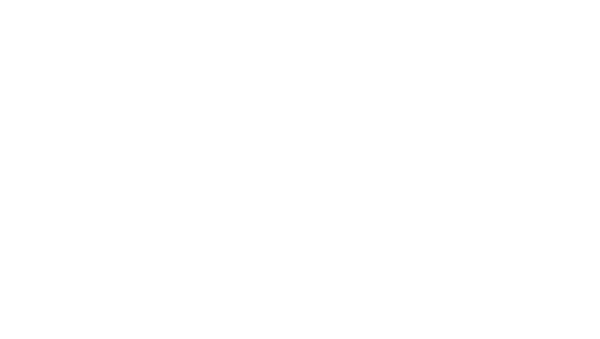 Logo Firroloni