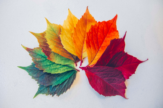 Au fil du jour et des saisons avec l’Ayurveda