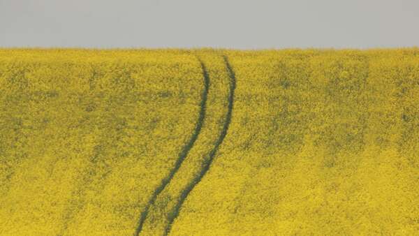 Le Pouvoir de l'Intention