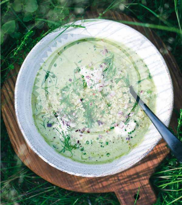 Soupe froide de Courgettes