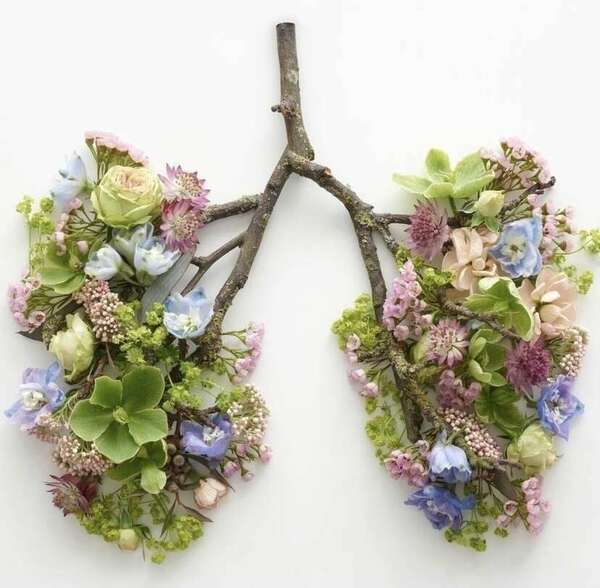 Comment la respiration peut augmenter l’énergie vitale et procurer bien-être et harmonie ?