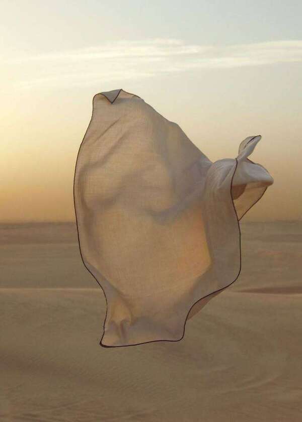 Un papillon ne naît pas papillon.