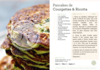 Pancakes de Courgettes & Ricotta
