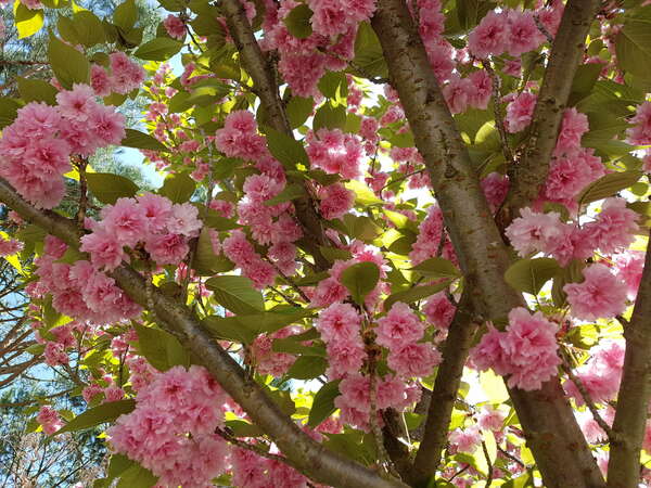 Qui je suis, comment je travaille