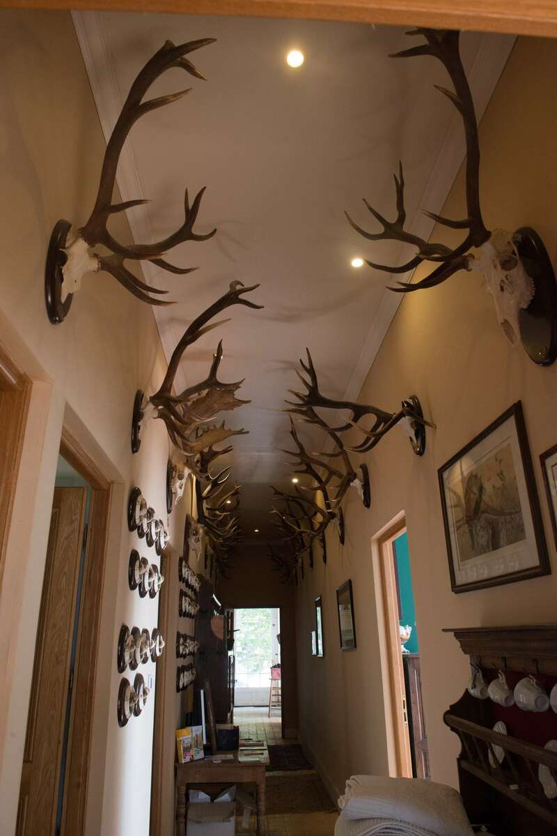 couloir_petit20210322-4172743-18wtksh