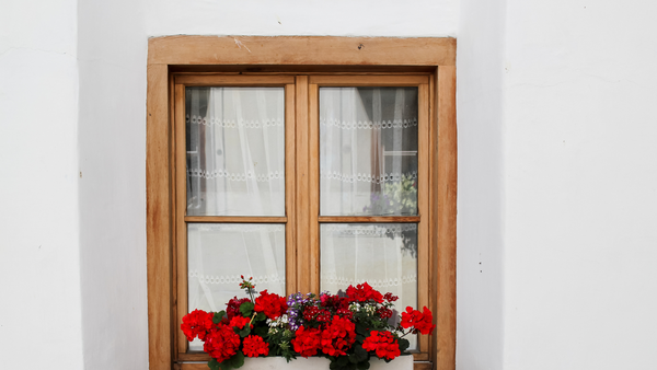 Menuiserie double vitrage à Argelès-sur-Mer ? Et si vous redonniez à votre maison le confort qu’elle mérite