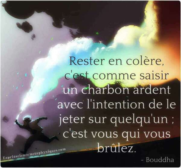 SE LIBERER DE LA COLERE, POURQUOI FAIRE ?