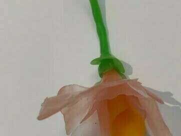 photo_patchwork_site_11