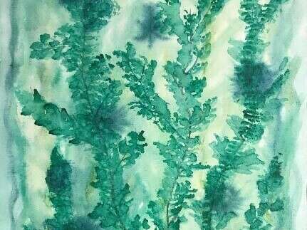 photo_patchwork_site_4