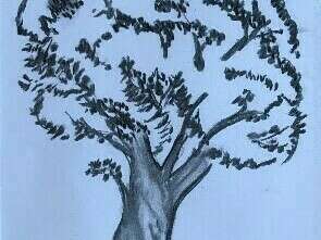 photo_patchwork_site_7