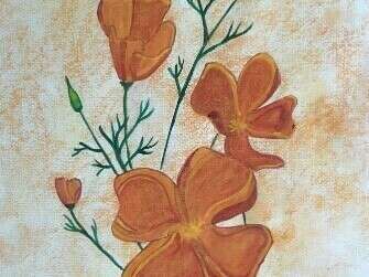 photo_patchwork_site_6