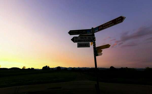 Accompagner l’orientation sans pression : 5 clés pour les parents