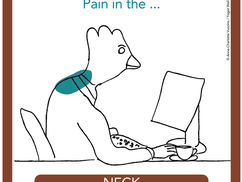 width_800__31_