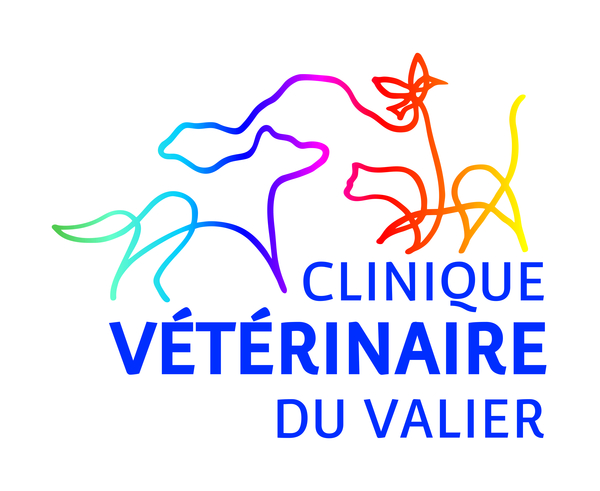 Logo Clinique Veterinaire du Valier